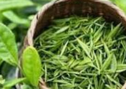 全讯800cc大白菜-全讯600cc大白菜官网